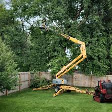 Best Sod Installation  in Atlanta, TX